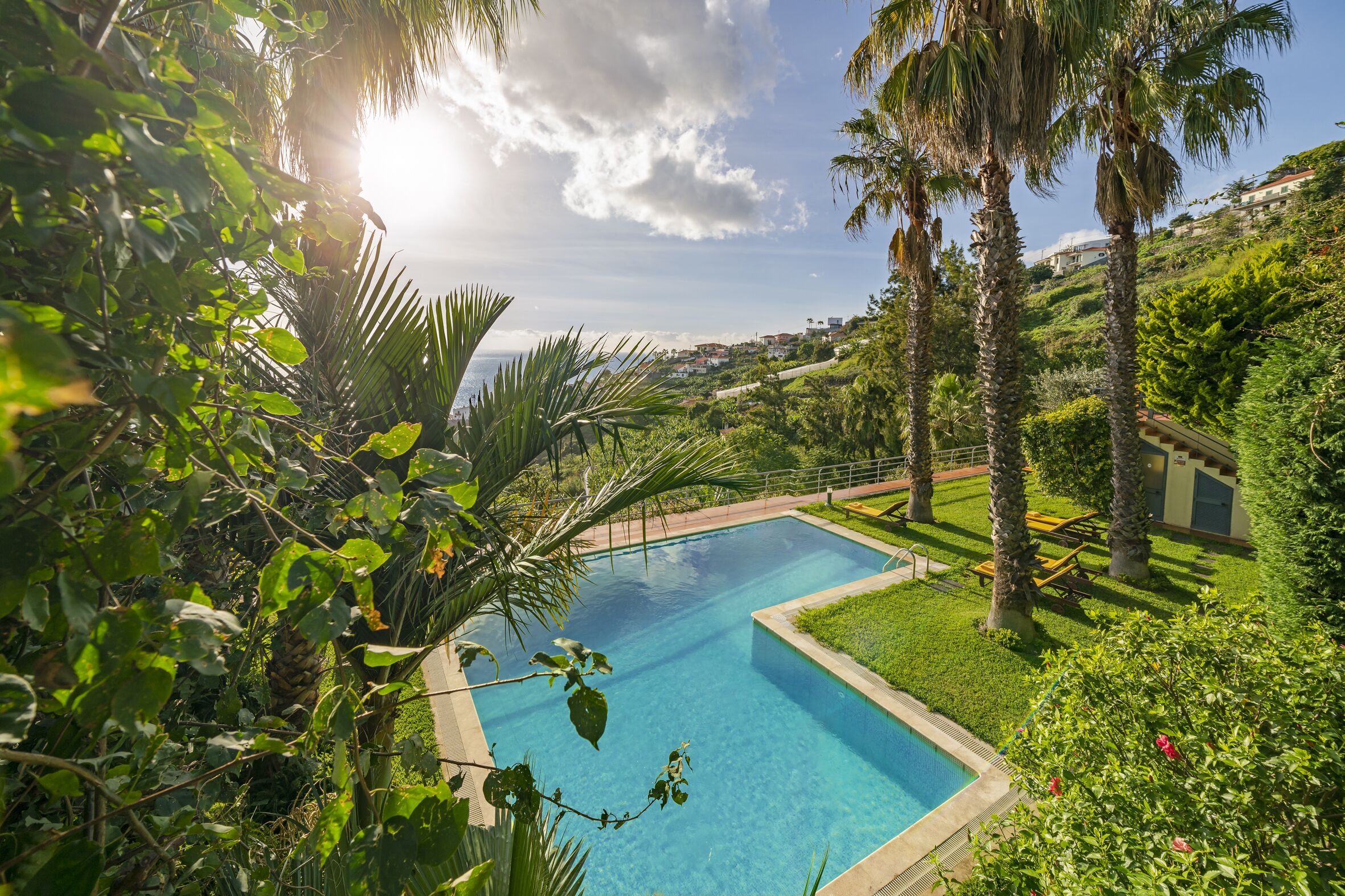 Photo - Casa do Papagaio Verde