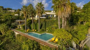 A pool surrounded by palm trees and a modern house. - Casa do Papagaio Verde (Funchal)