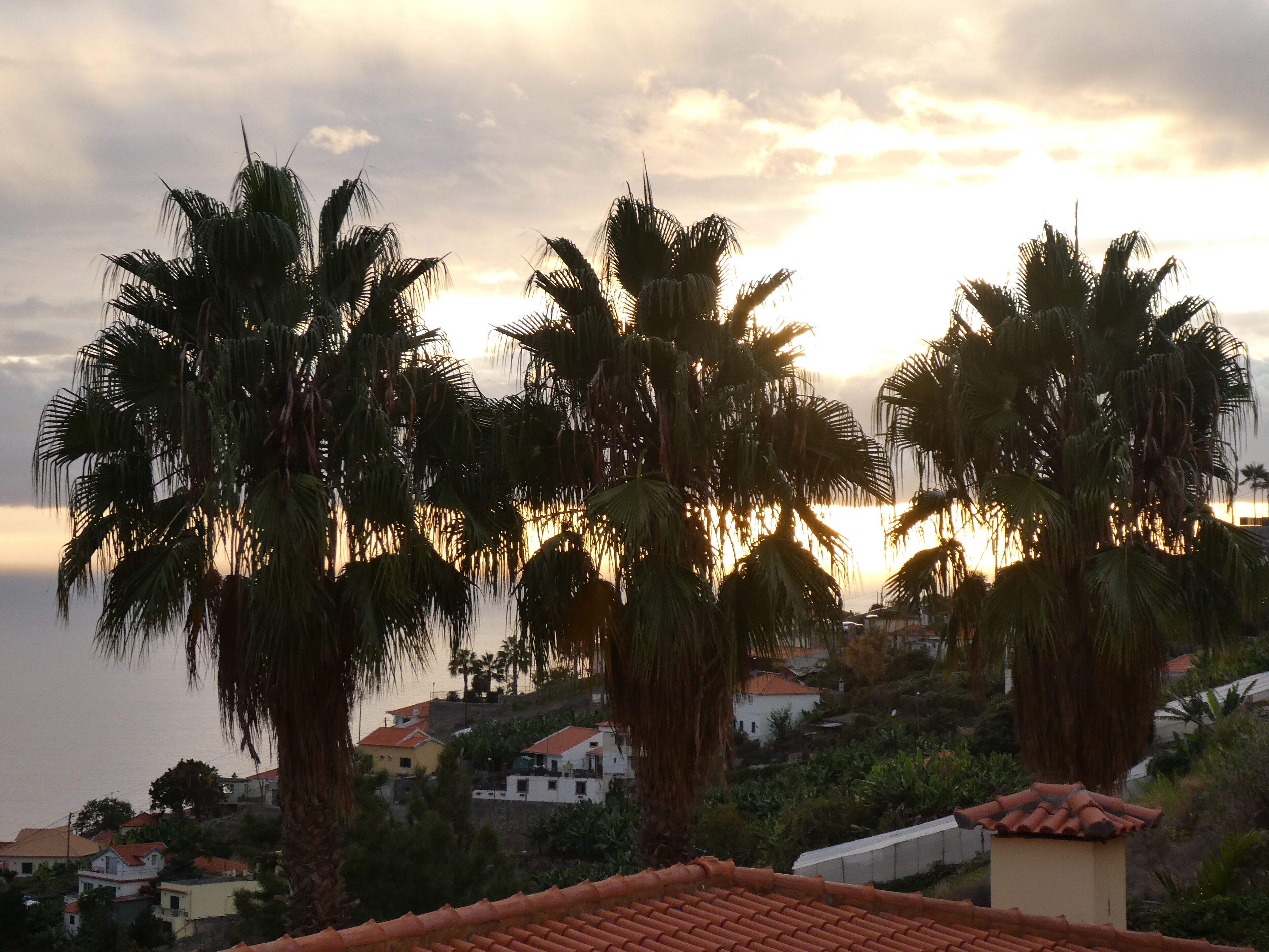 Photo - Casa do Papagaio Verde