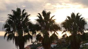 A coastal view with palm trees and houses with red-tiled roofs. - Casa do Papagaio Verde (Funchal)