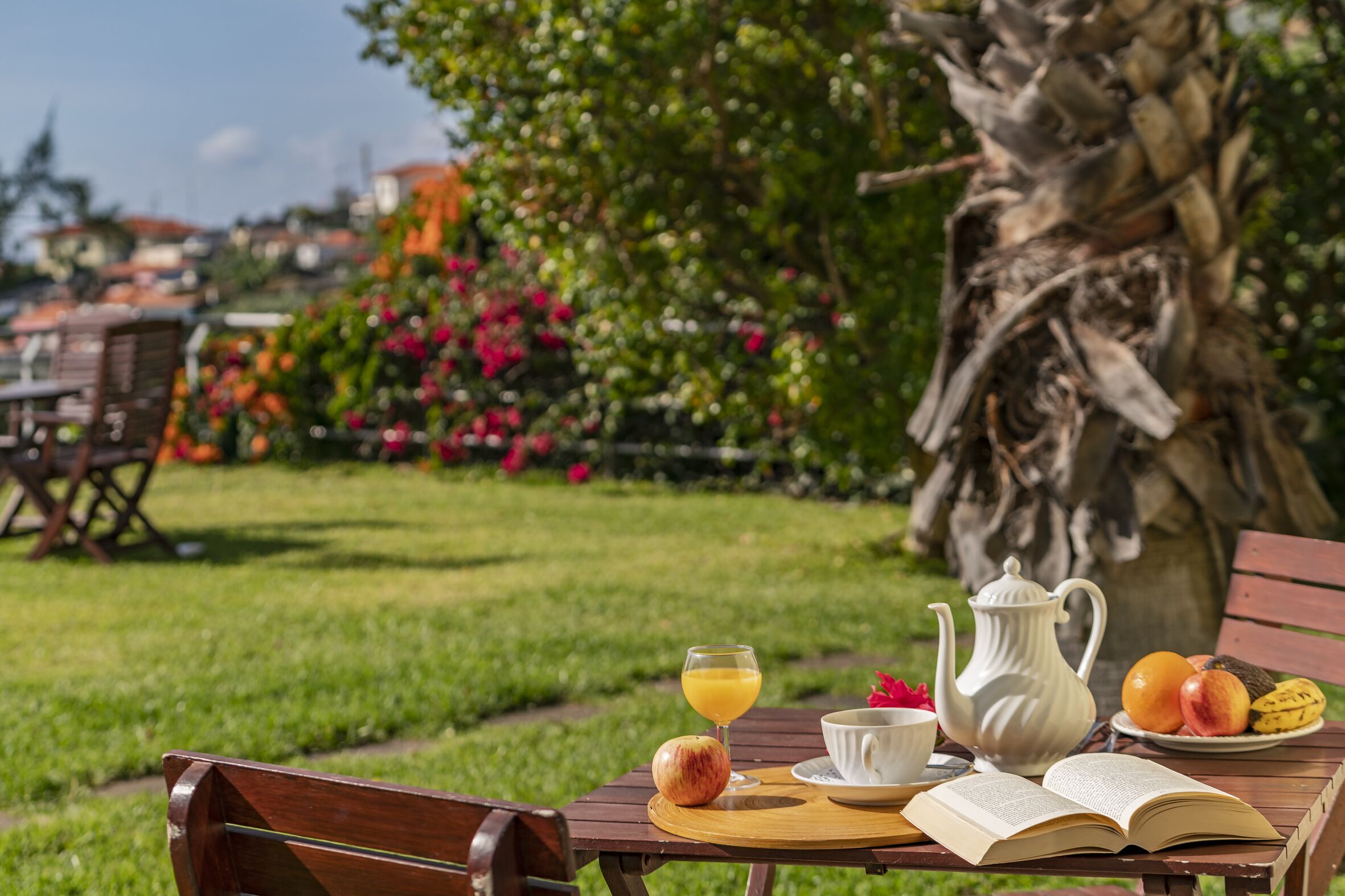 Photo - Casa do Papagaio Verde