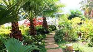 A garden pathway surrounded by lush greenery and palm trees. - Casa do Papagaio Verde (Funchal)