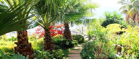 A garden pathway surrounded by lush greenery and palm trees.