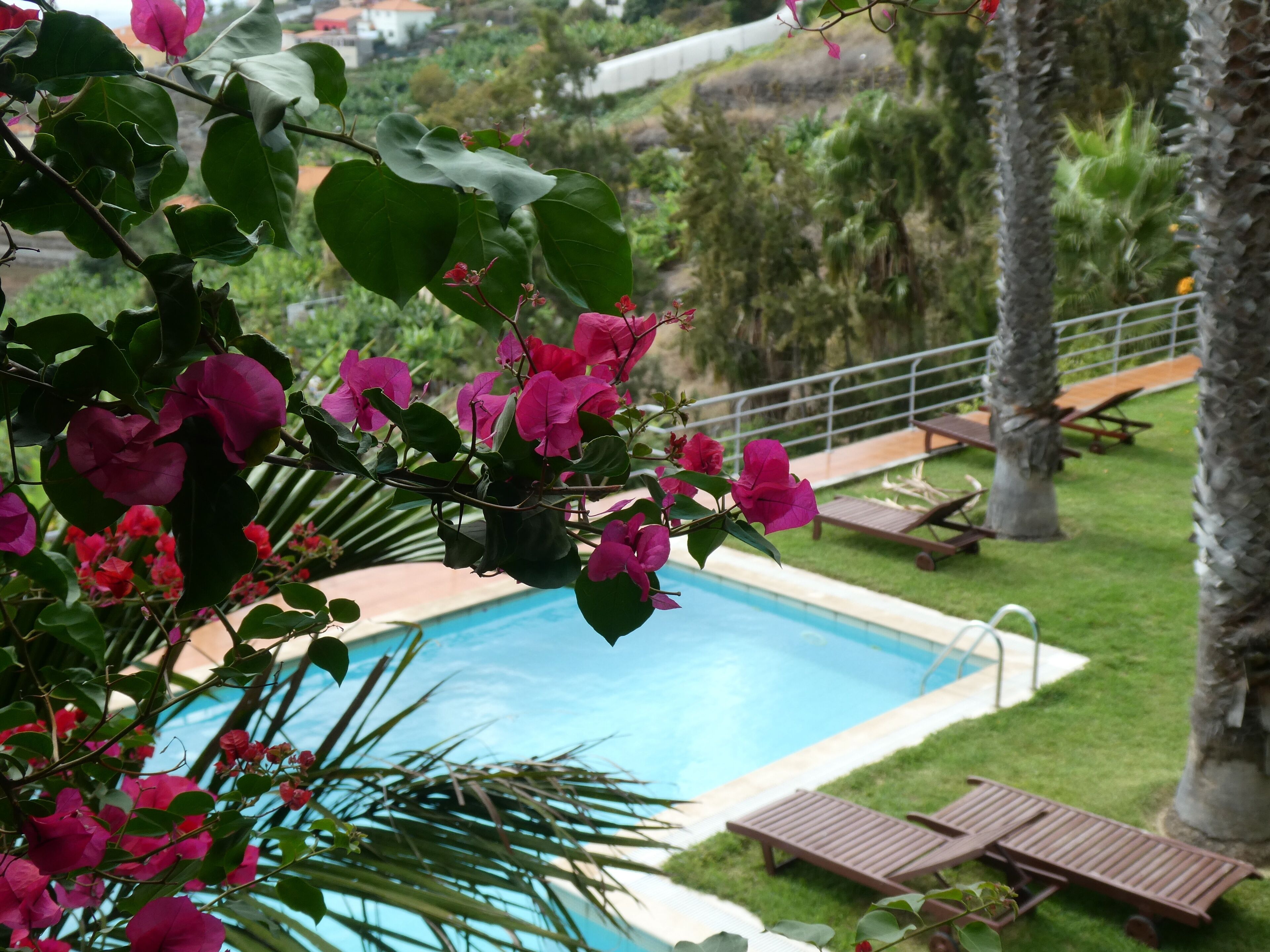 Photo - Casa do Papagaio Verde