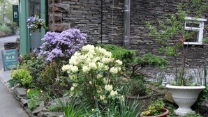 A stone wall with a potted plant and a sign for 'The Firgarth B&B'. - The Firgarth - Adults Only (Windermere)