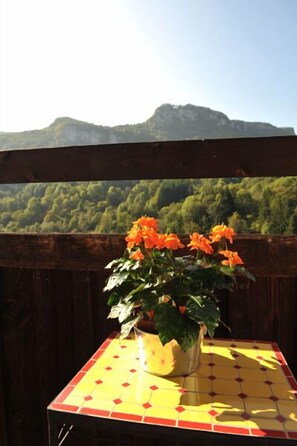 Vue sur les montagnes
