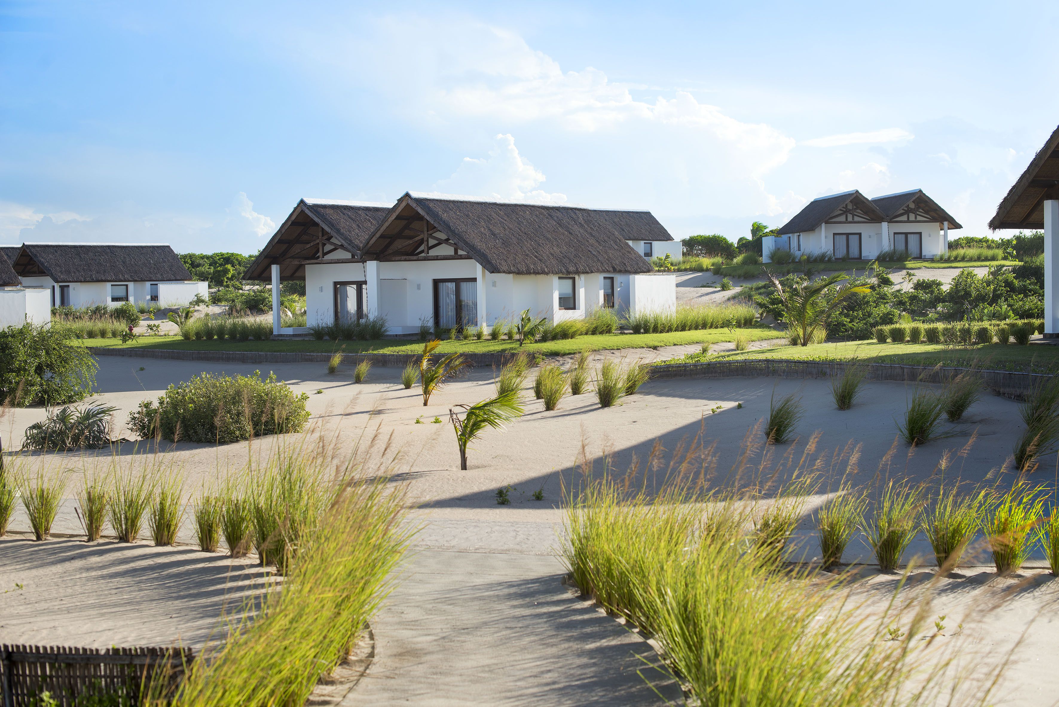 华丽客房, 海洋景观 | 高档床上用品、迷你吧、客房内保险箱、办公桌