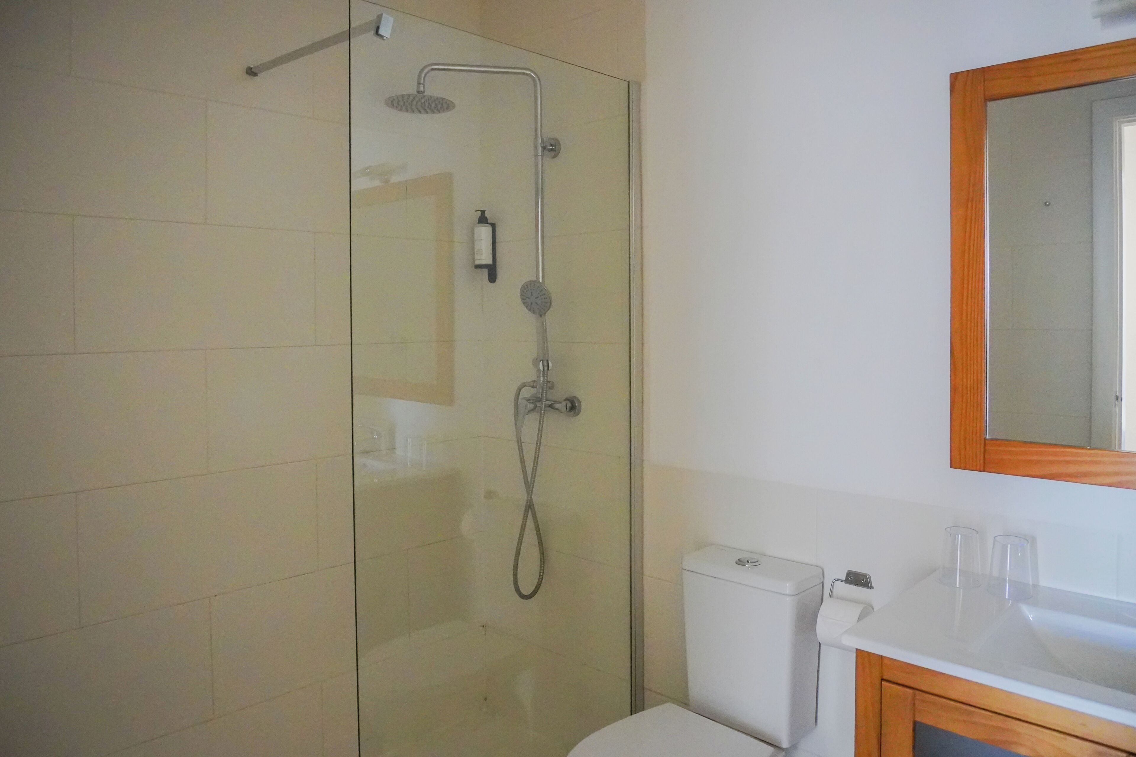 A bathroom with a glass-enclosed shower, a toilet, and a sink with a mirror above it.