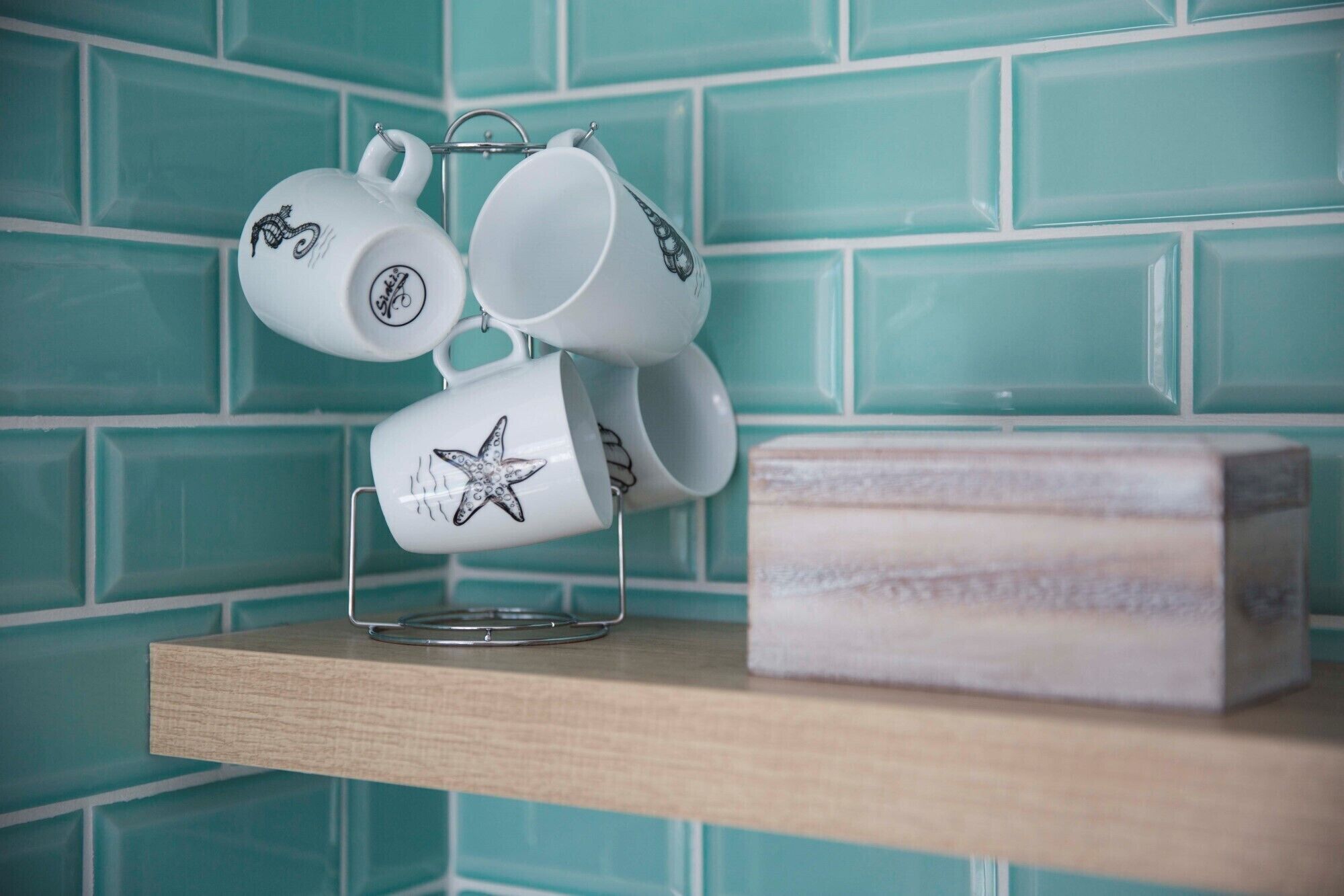 Foto - Beach Star Ibiza