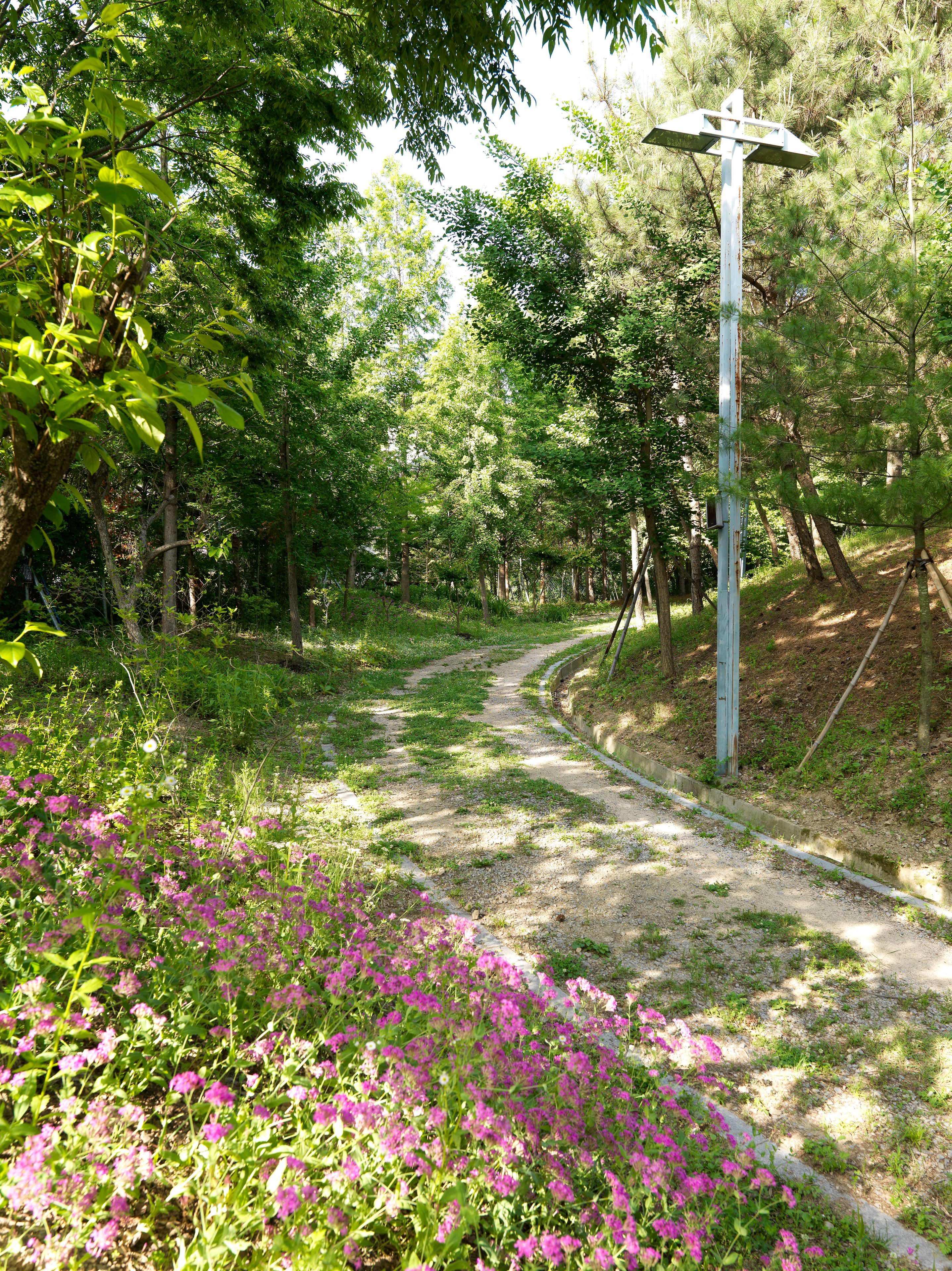 A forested path with a wooden signpost and a gravel trail.