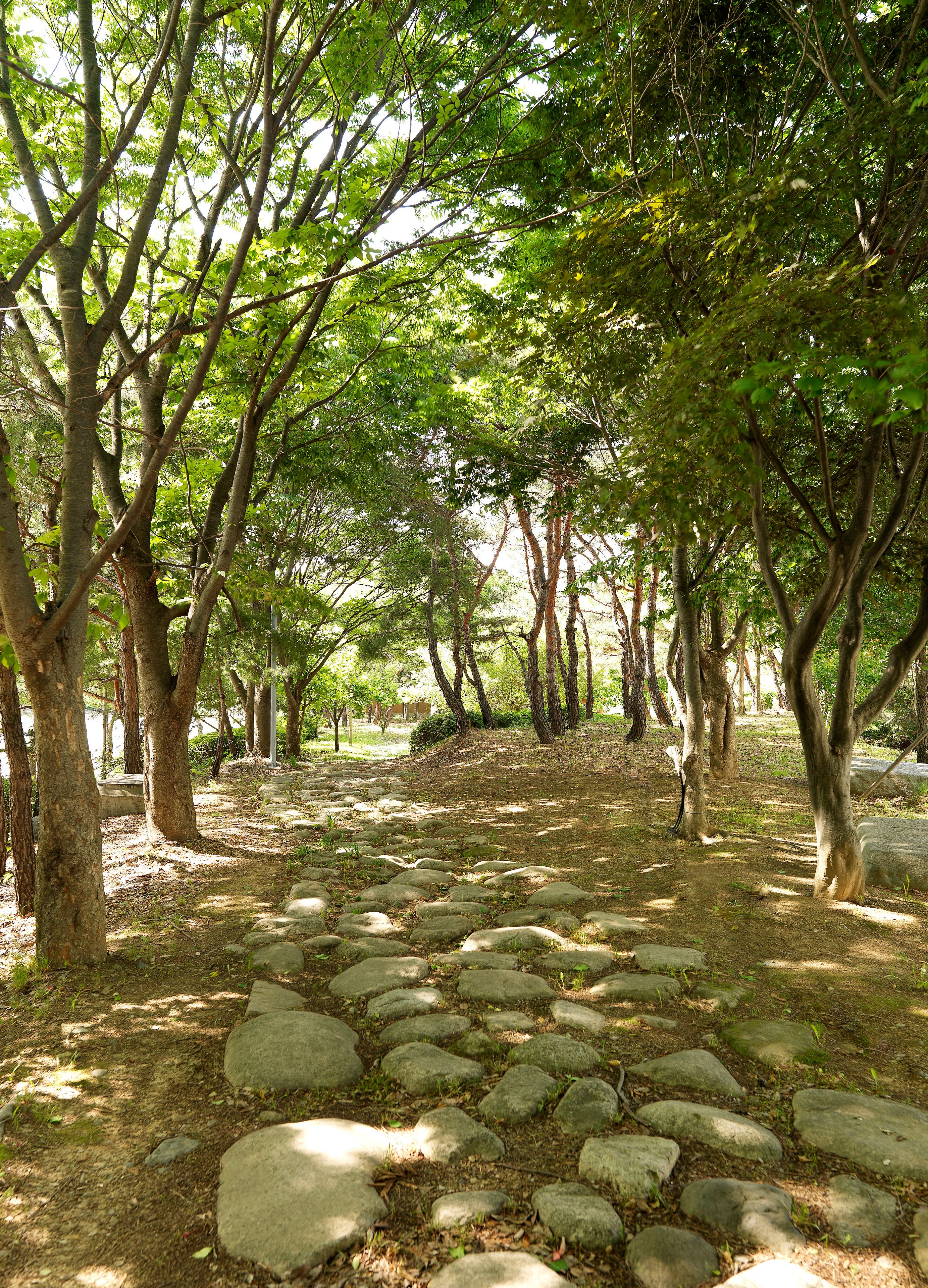 Photo - The K Hotel Gyeongju