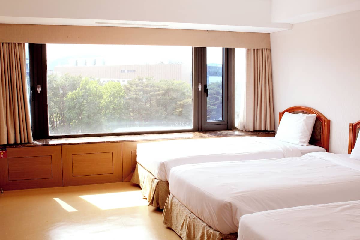 Hypo-allergenic bedding, in-room safe, desk, soundproofing