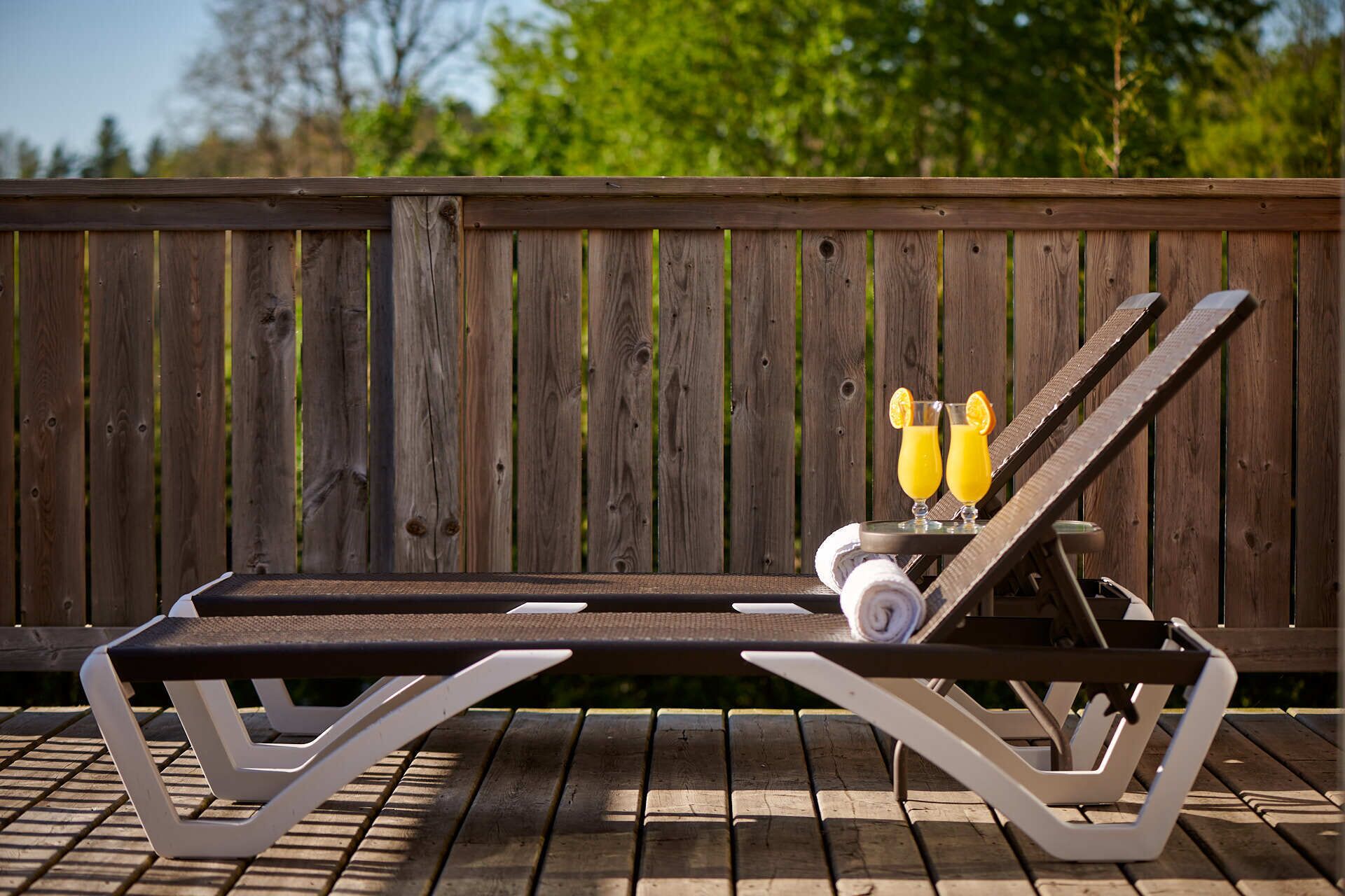 premium suite, 2 bedrooms, river view | terrace/patio