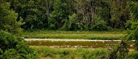 Un paysage naturel comprenant une rivière, une forêt dense et des zones herbeuses.