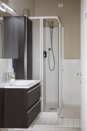 Shower, hair dryer, bidet, towels