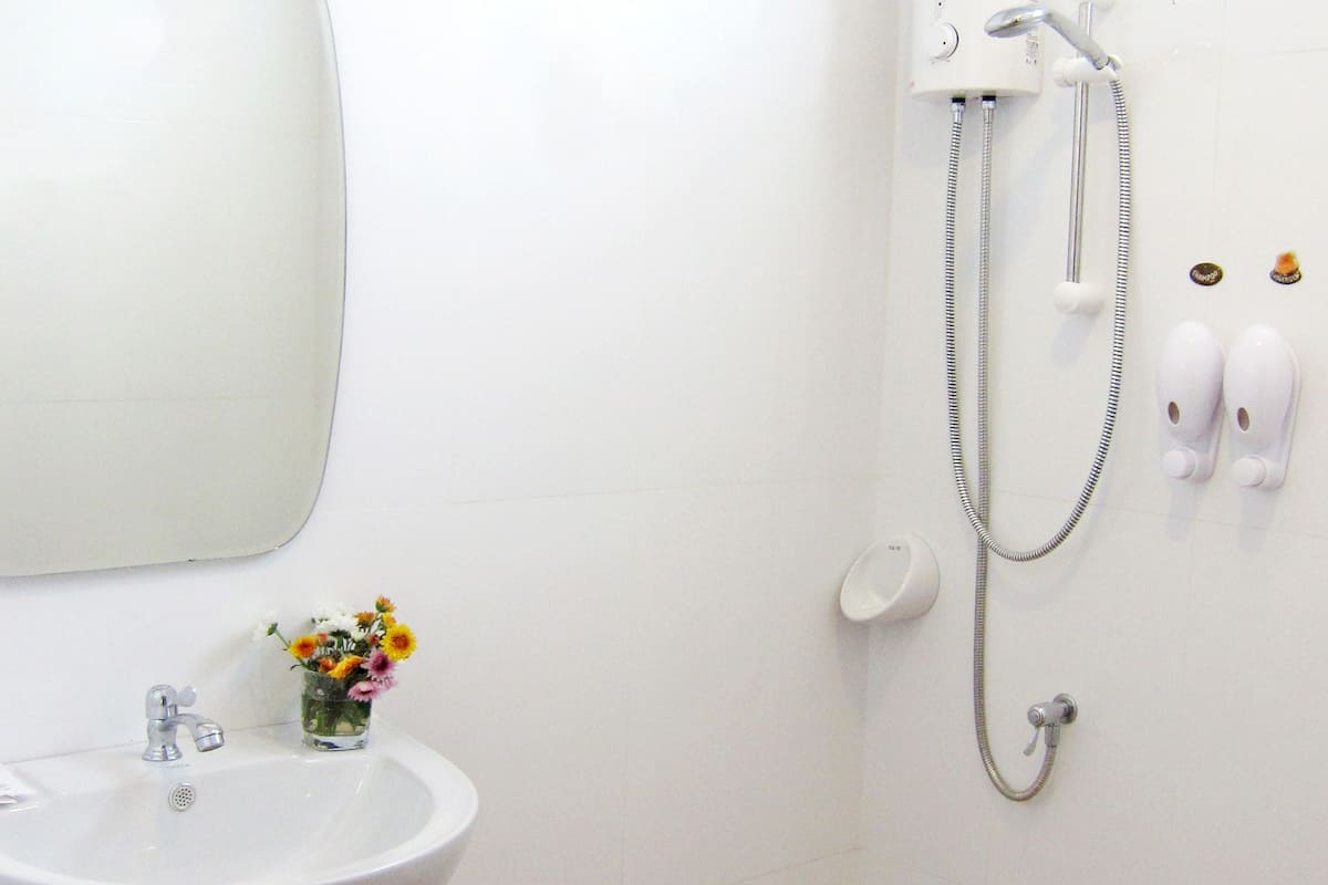 shower, free toiletries, hair dryer, towels