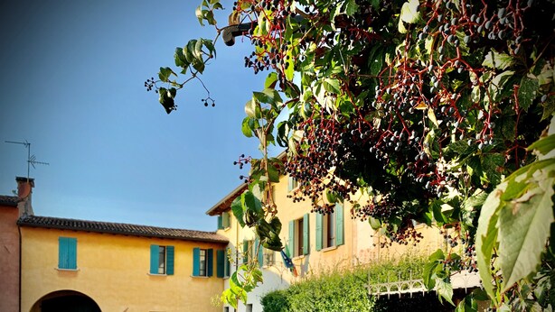 A courtyard with a yellow building, outdoor seating, and greenery. - Corte Uccellanda (Monzambano)
