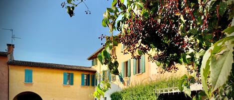 Courtyard