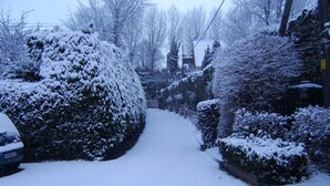 A snow-covered residential street with houses on both sides. - The Gardens guest accommodation (Killarney)