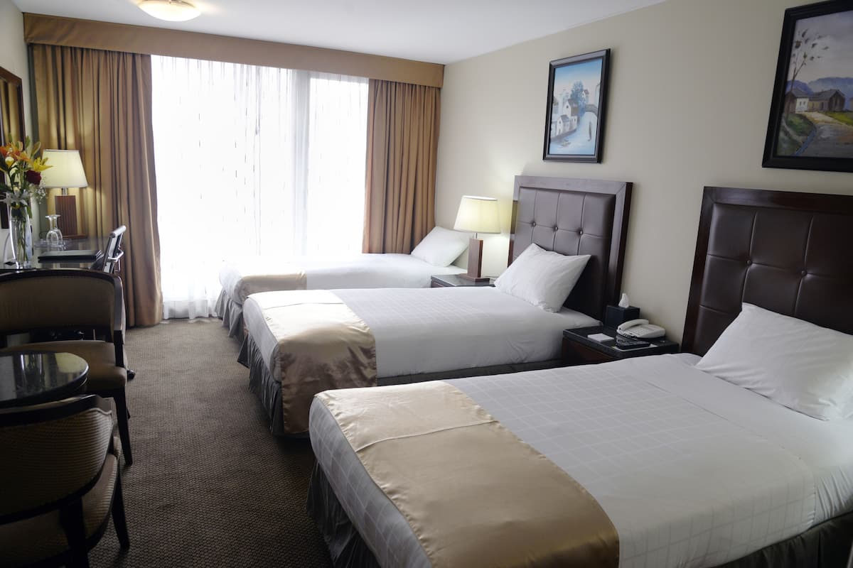 Minibar, in-room safe, desk, blackout drapes