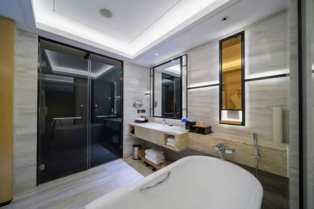 Kamar mandi | Bathtub dan shower terpisah dan pancuran hujan