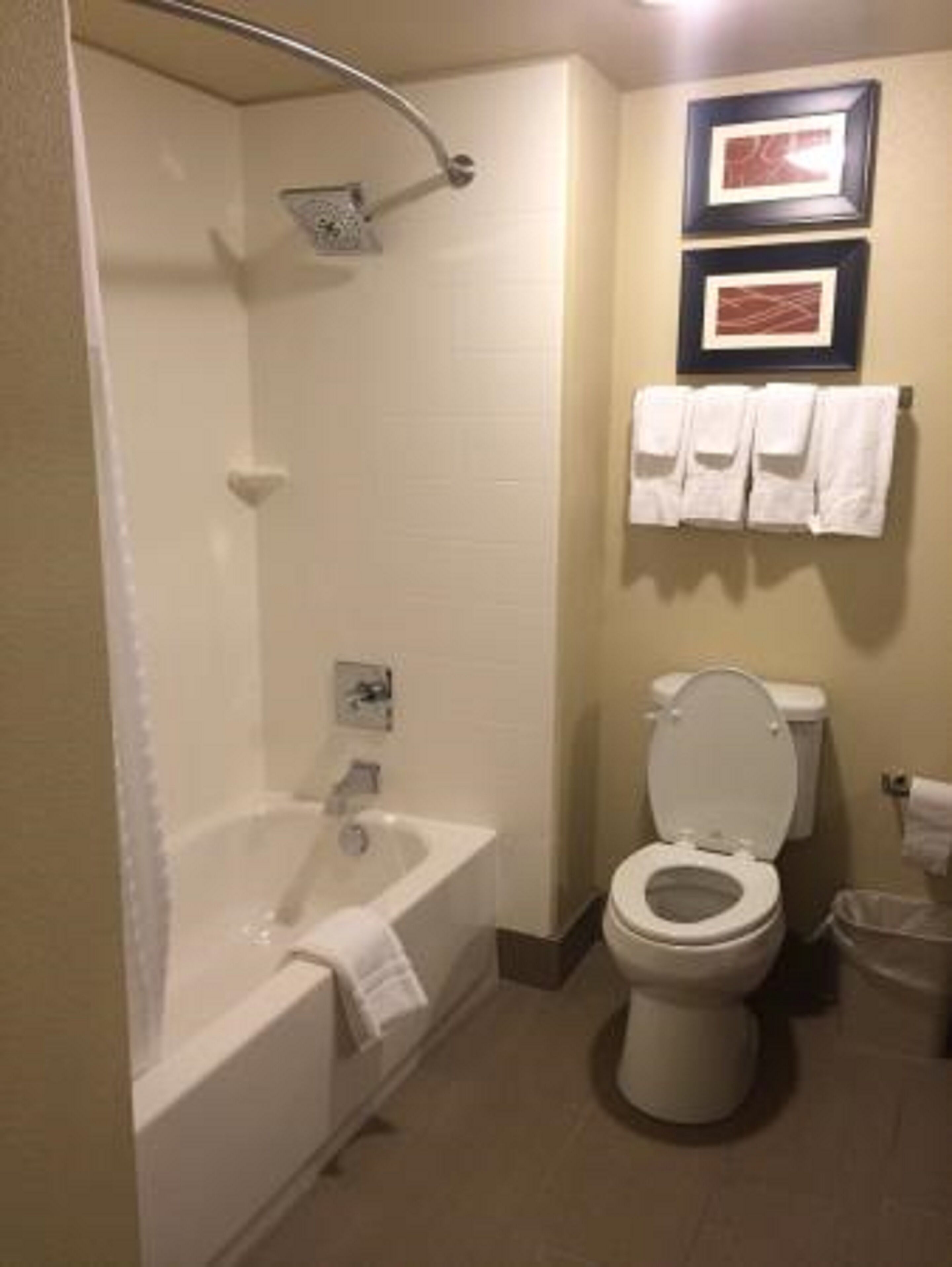 combined shower/bathtub, free toiletries, hair dryer, towels