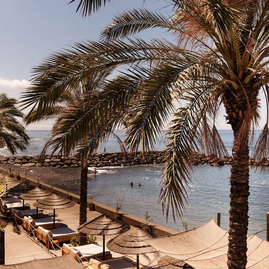 A beachside resort with palm trees, a pool, and lounge chairs.
