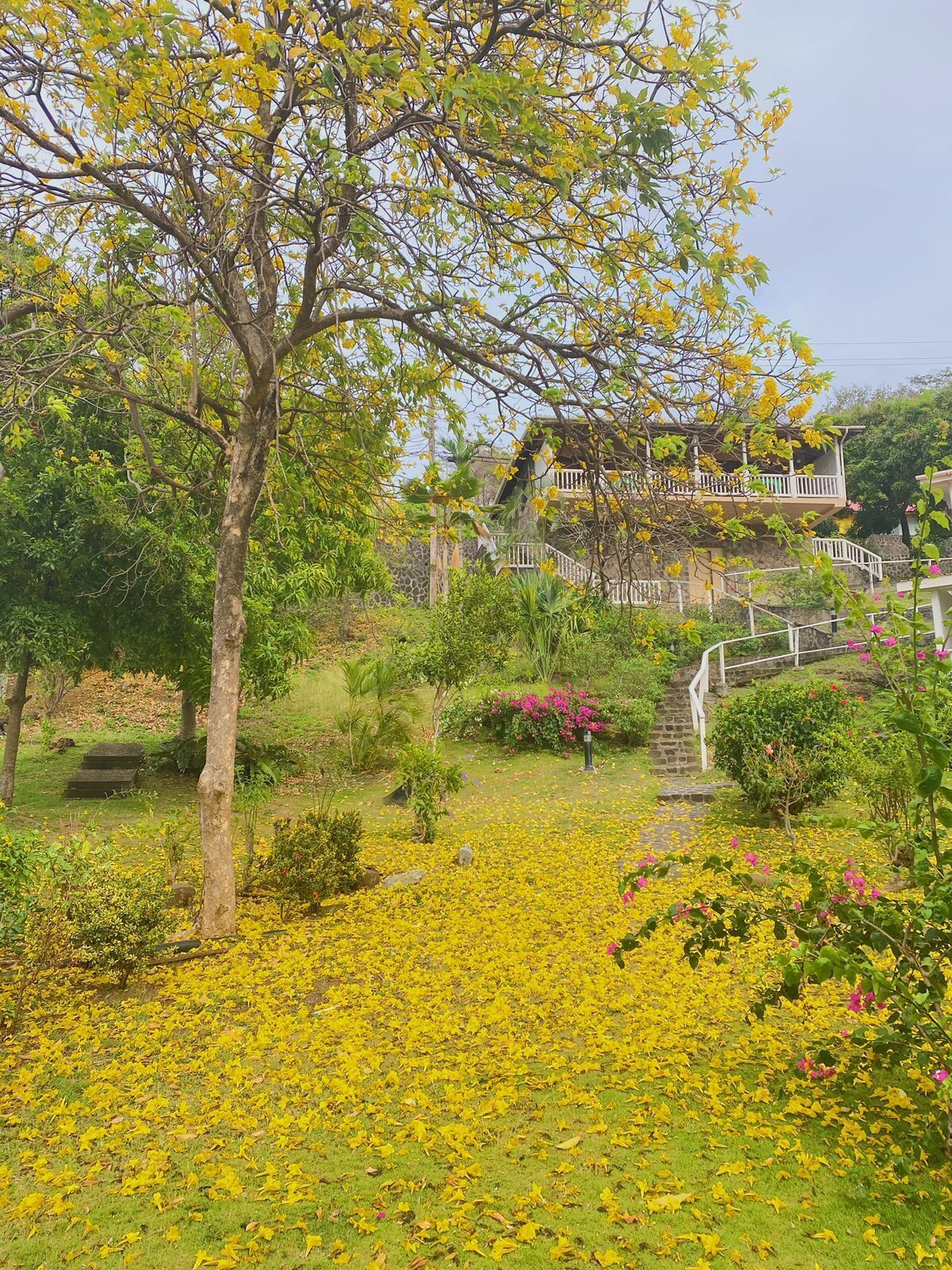Chambre Standard, balcon, vue jardin | Vue sur le jardin