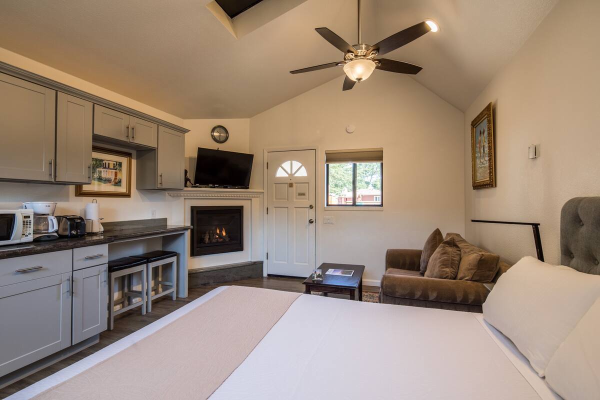 A bedroom with a bed, a TV, a fireplace, a sofa, and a kitchen area with cabinets and a microwave.