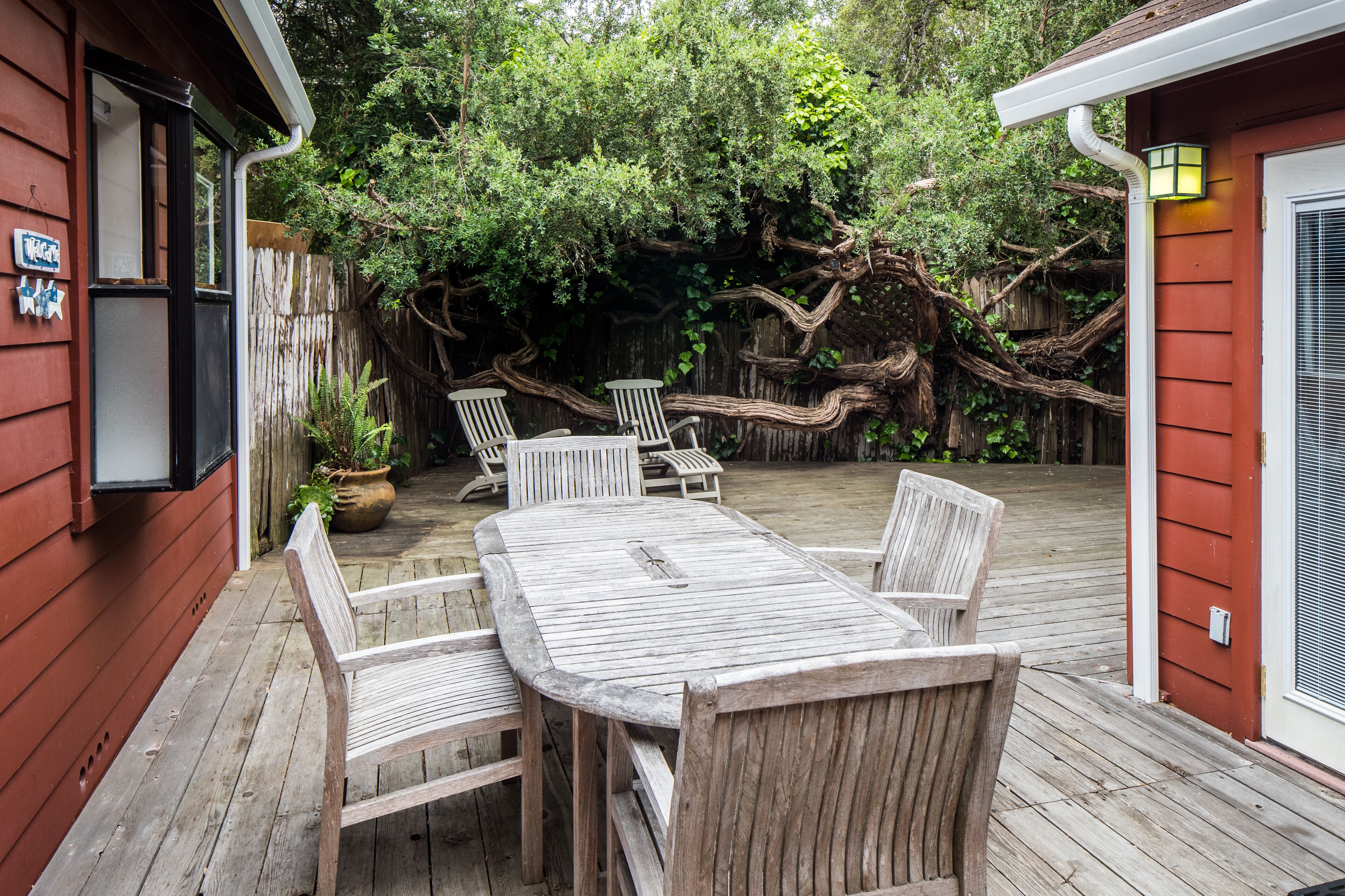 Terrasse/patio