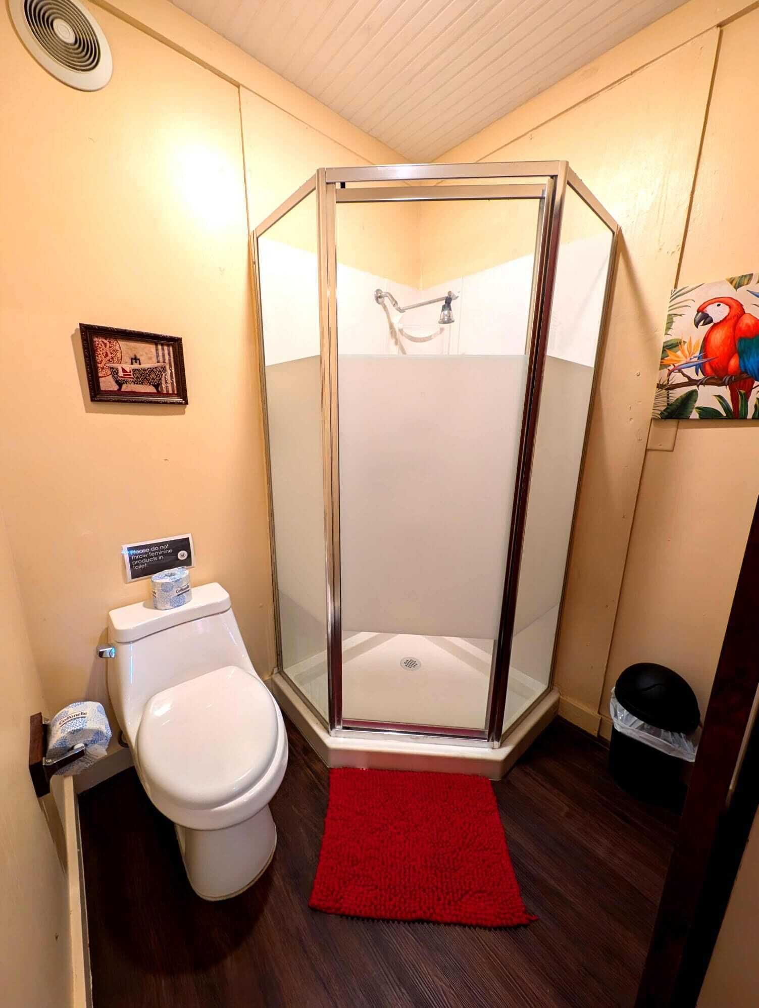 A bathroom with a shower enclosure, toilet, and a red rug.