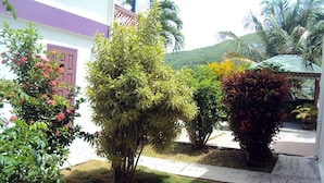 A garden with various plants and a pathway leading to a building with a purple door.