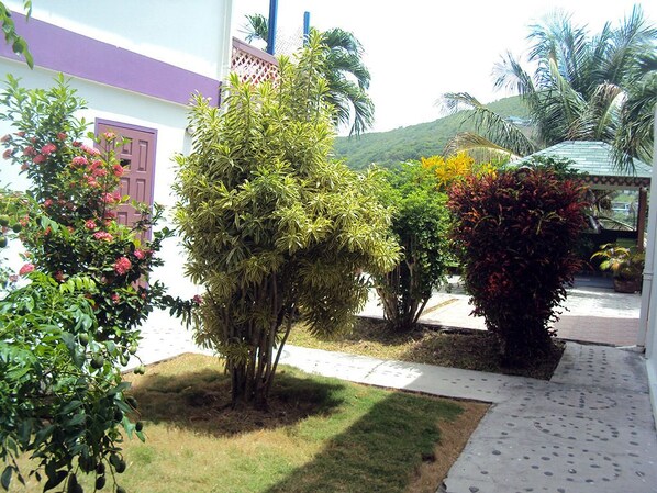A garden with various plants and a pathway leading to a building with a purple door. - Friendship Garden Apartments (Bequia Island)