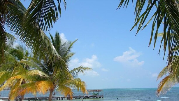 A beach with palm trees, a boat, and a pier extending into the water.