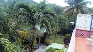 A lush garden with palm trees, a green bench, and a patio area with a tiled floor.