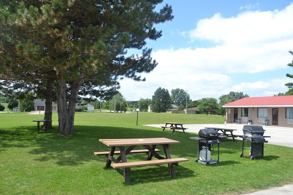 A picnic area with tables and grills, surrounded by grass and trees, with a building in the background.