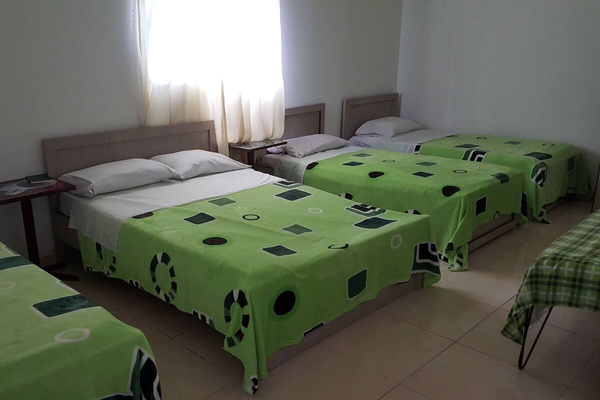 A hotel room with four single beds, each with a green bedspread and white pillows. There is a small table with a lamp between the beds, and a window with sheer curtains allowing natural light.