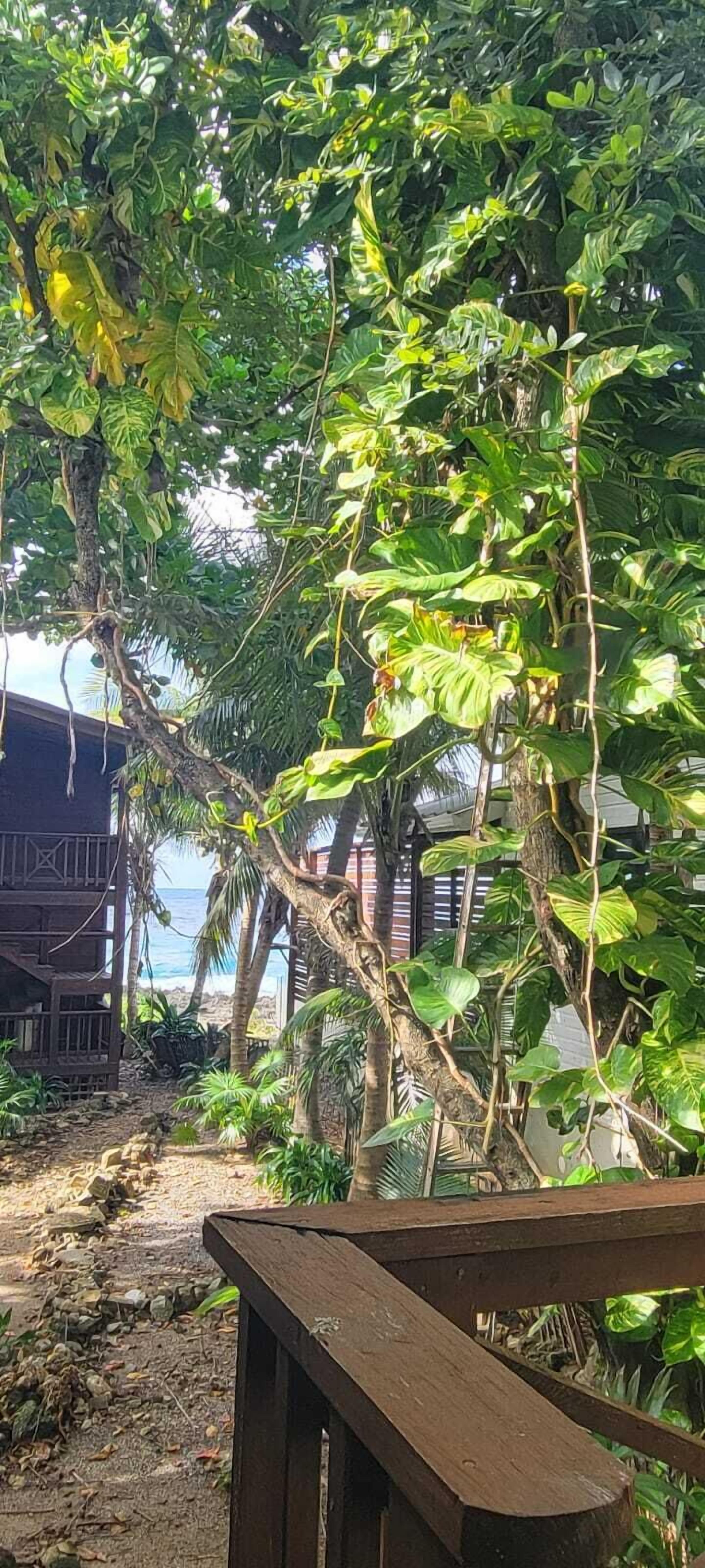 hottest sparrow - premium cottage, 1 queen bed, garden area | terrace/patio