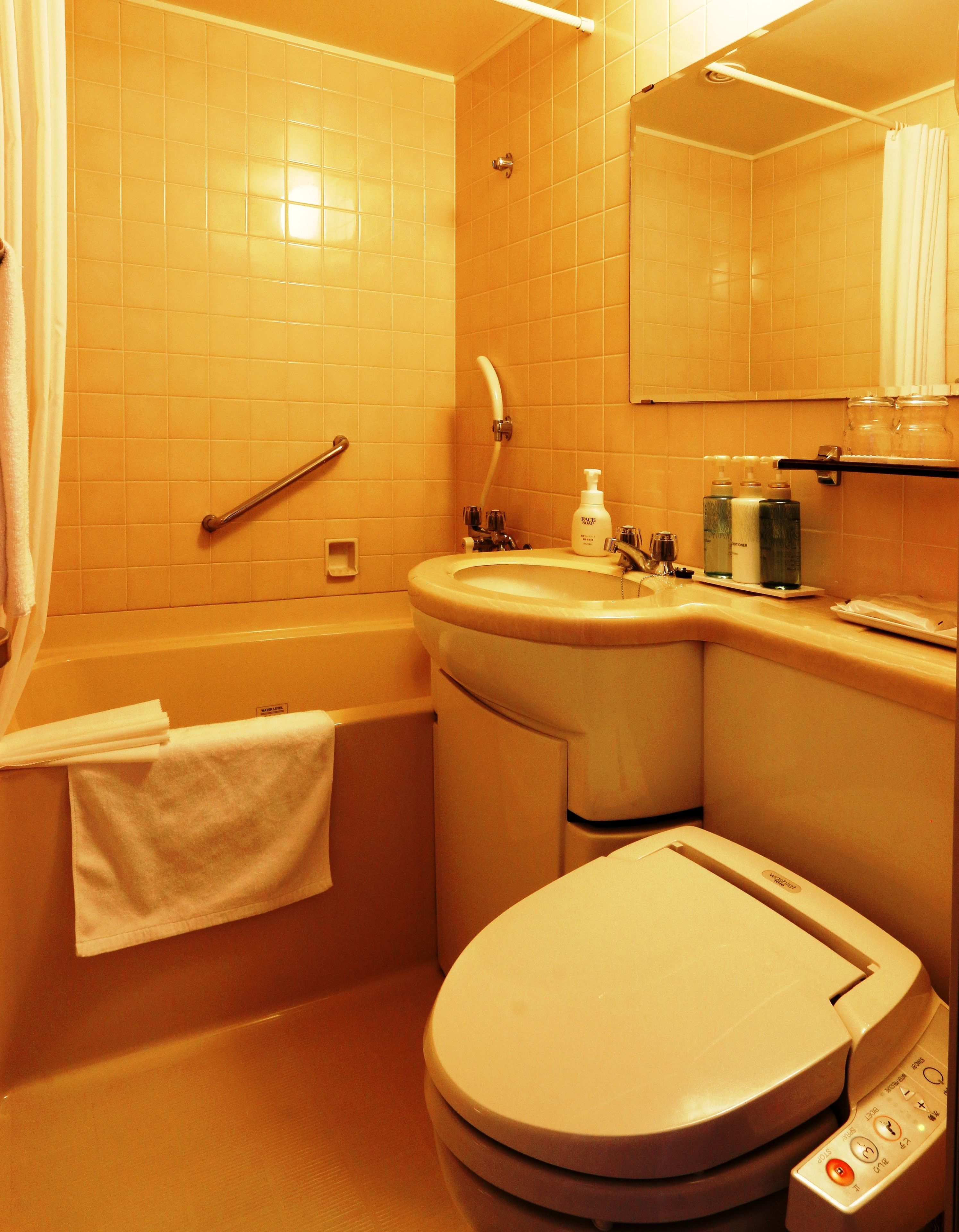 combined shower/bathtub, free toiletries, hair dryer, slippers