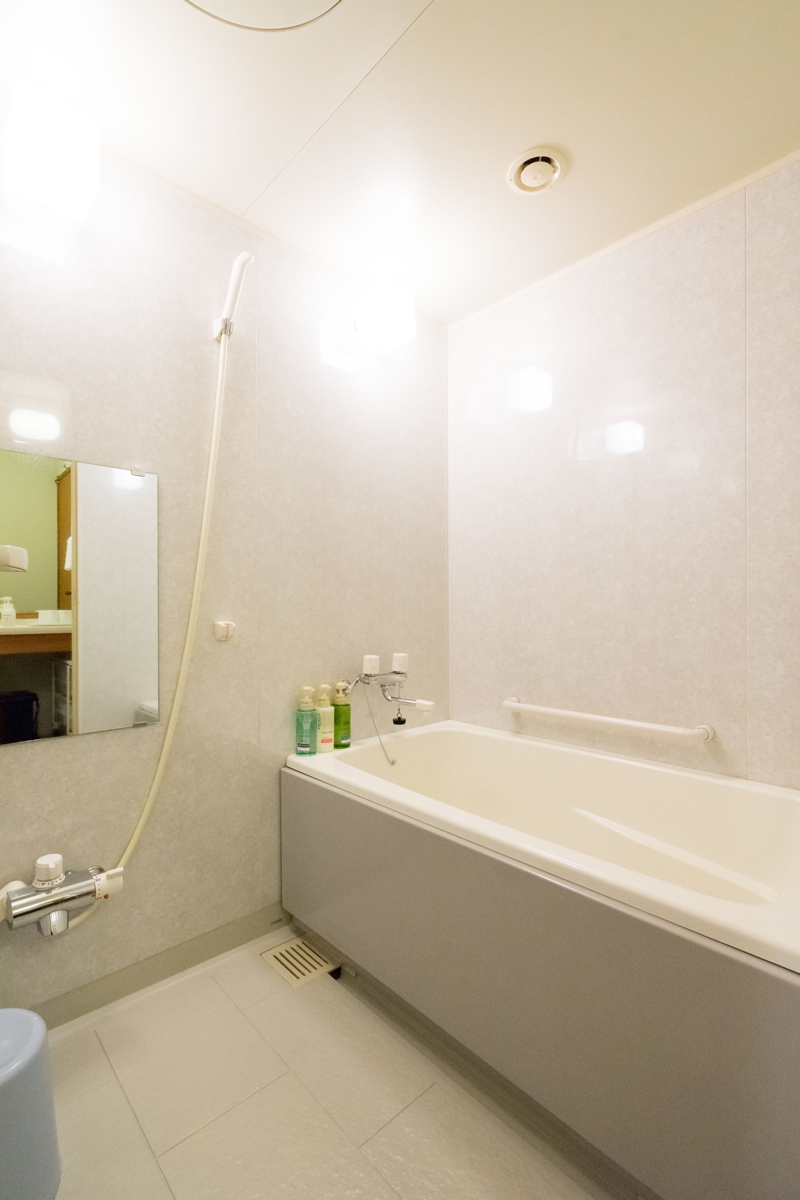 combined shower/bathtub, free toiletries, hair dryer, towels