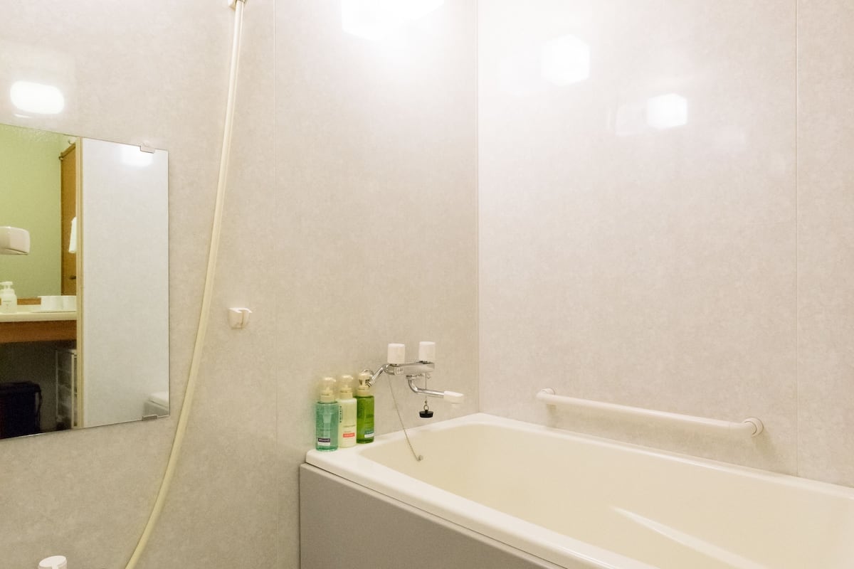 combined shower/bathtub, free toiletries, hair dryer, towels