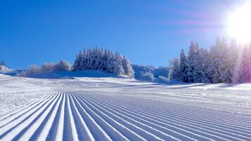 Paesaggio innevato con tracce, alberi e cielo sereno.