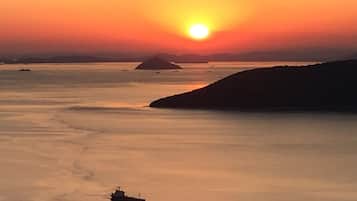 Vista desde la propiedad