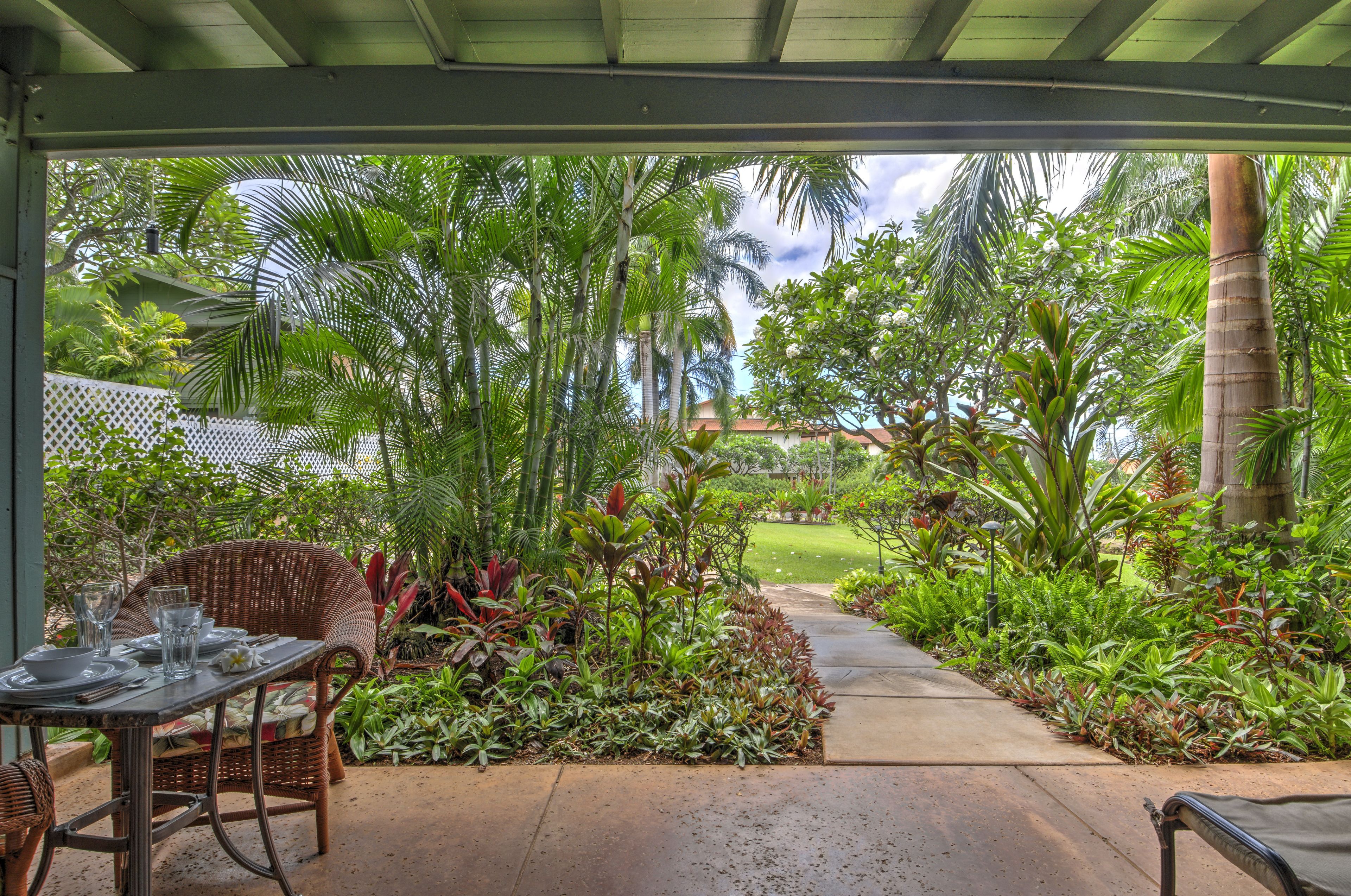 A covered outdoor area with a dining table set up, surrounded by lush tropical plants and a pathway leading to a lawn.