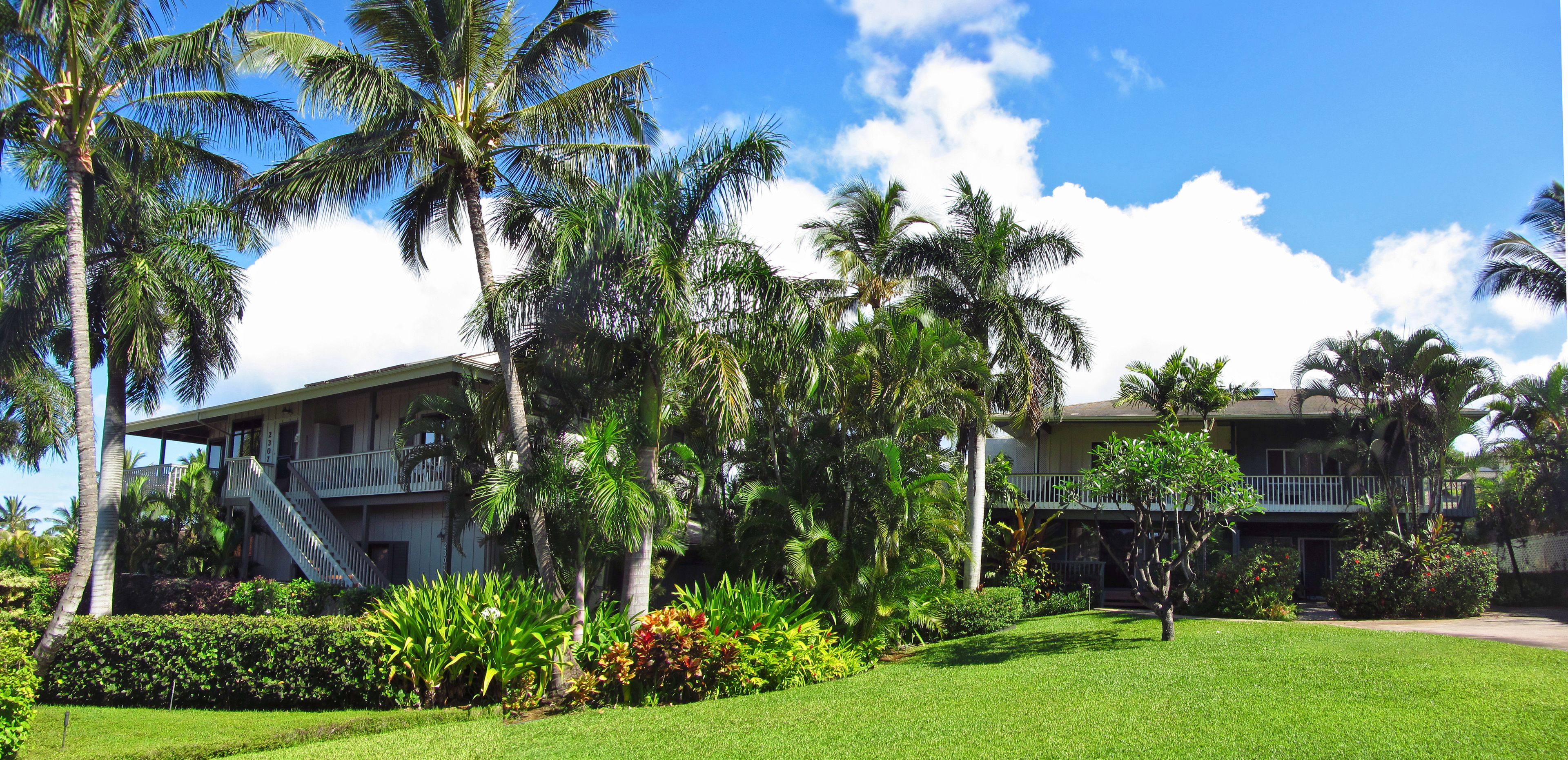 A two-story building with a balcony on the upper floor, surrounded by lush greenery and palm trees.