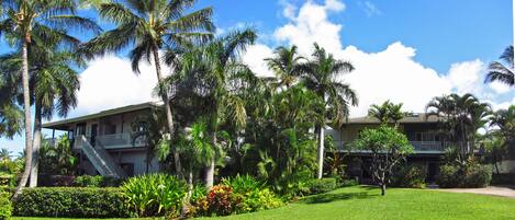A two-story building with a balcony on the upper floor, surrounded by lush greenery and palm trees.
