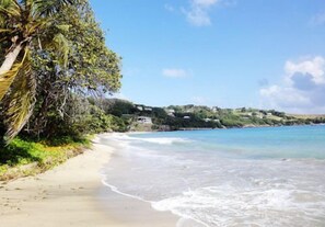 A beach with clear blue water, a sandy shore, and lush greenery.
