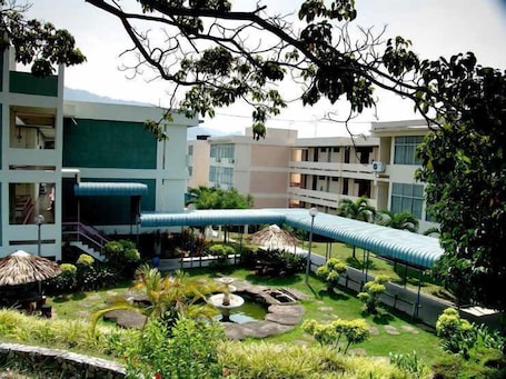 Jardines del alojamiento. International House