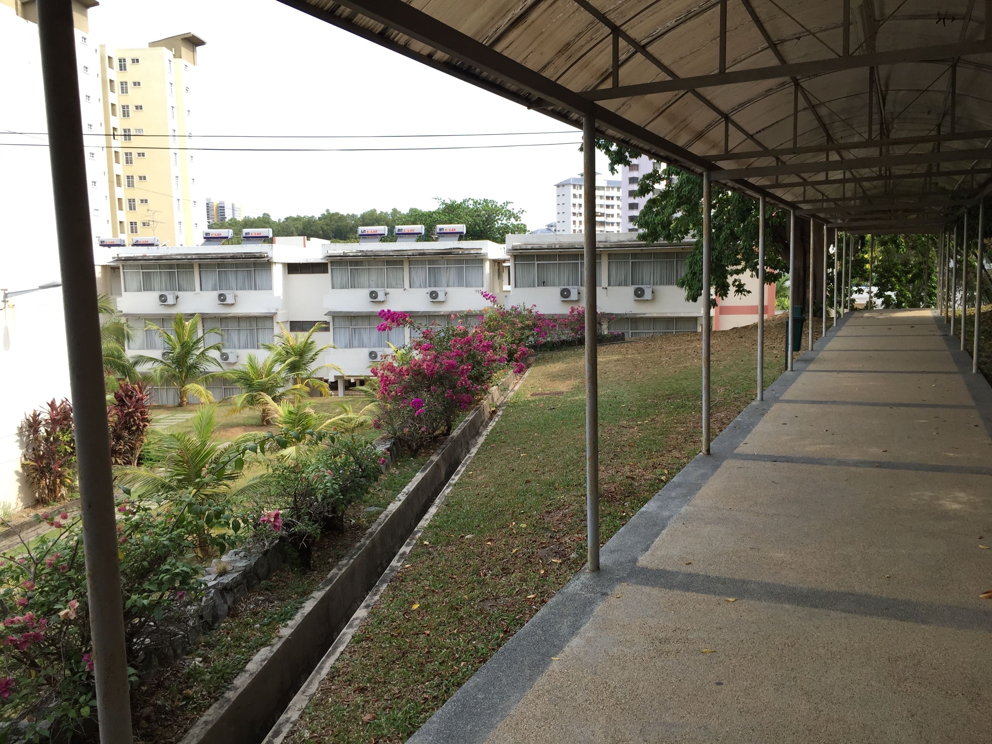 A covered walkway with a concrete path, surrounded by greenery and a row of buildings with air conditioning units.