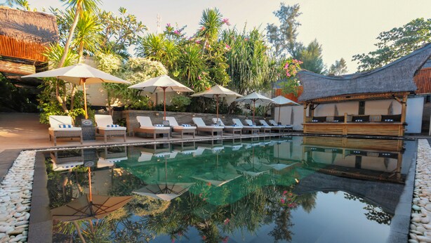 A pool area with lounge chairs and umbrellas, surrounded by tropical plants and a thatched-roof structure. - Scallywags Resort (Gili Trawangan)